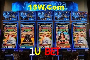 Security Systems 1U Bet
